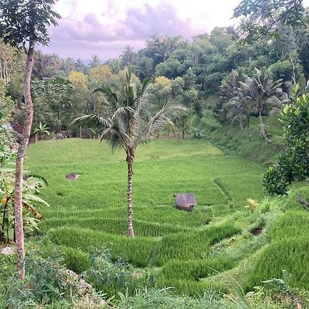 Satu Lingkung Hotel Tetebatu Bagian luar foto