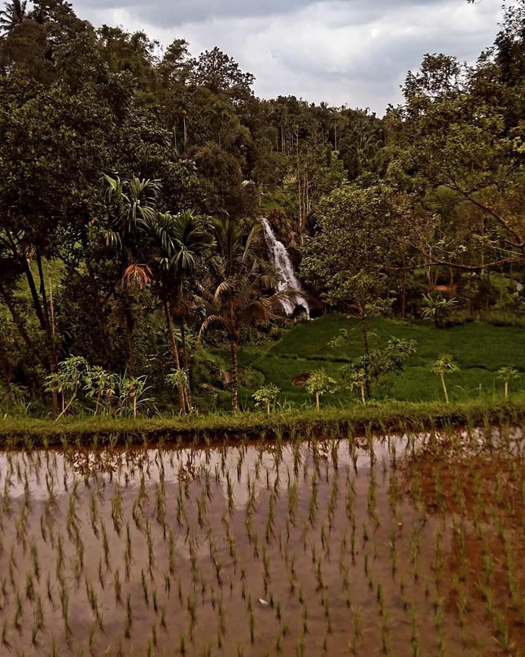 Satu Lingkung Hotel Tetebatu Bagian luar foto