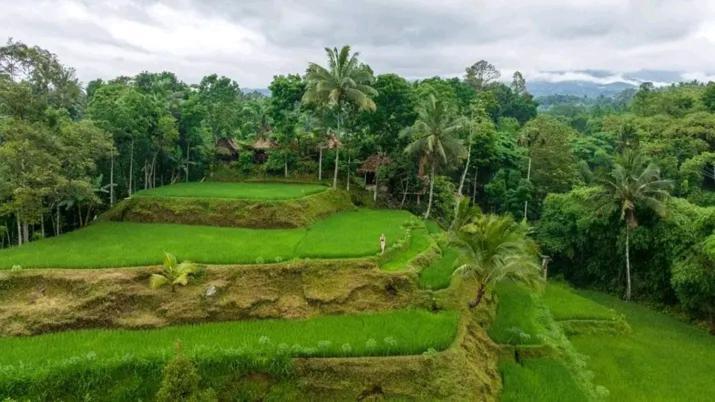 Satu Lingkung Hotel Tetebatu Bagian luar foto
