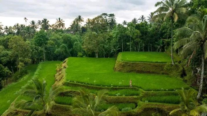 Satu Lingkung Hotel Tetebatu Bagian luar foto