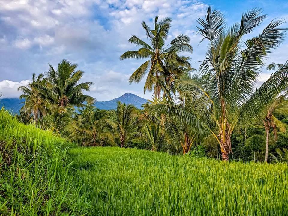 Satu Lingkung Hotel Tetebatu Bagian luar foto