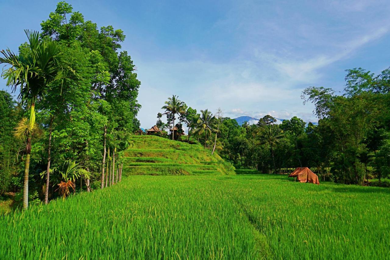 Satu Lingkung Hotel Tetebatu Bagian luar foto