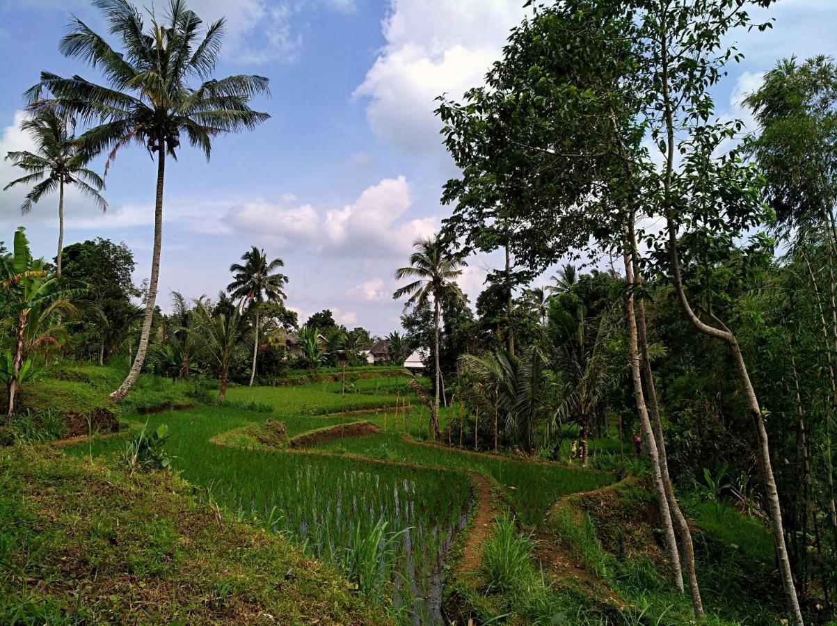 Satu Lingkung Hotel Tetebatu Bagian luar foto